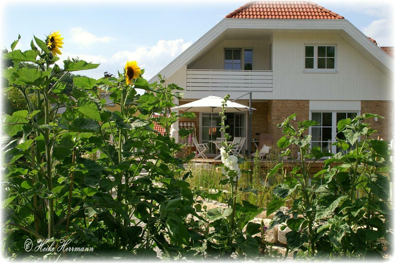 Apartment Seerose Remseck am Neckar Exteriör bild